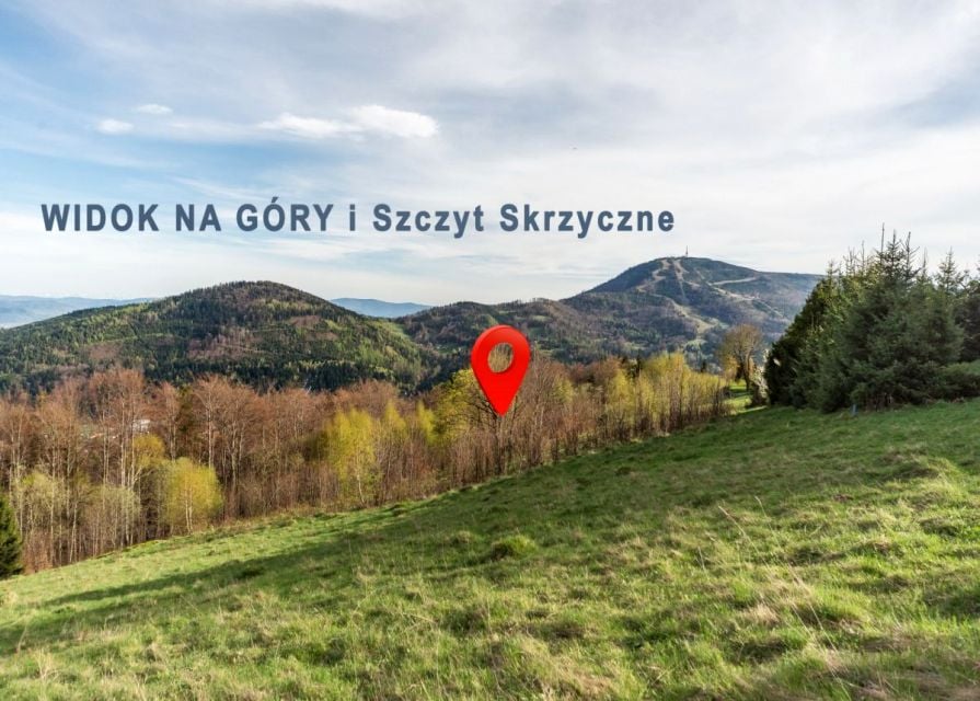 Zdjęcie 2