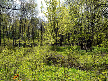 Działka budowlana sprzedam