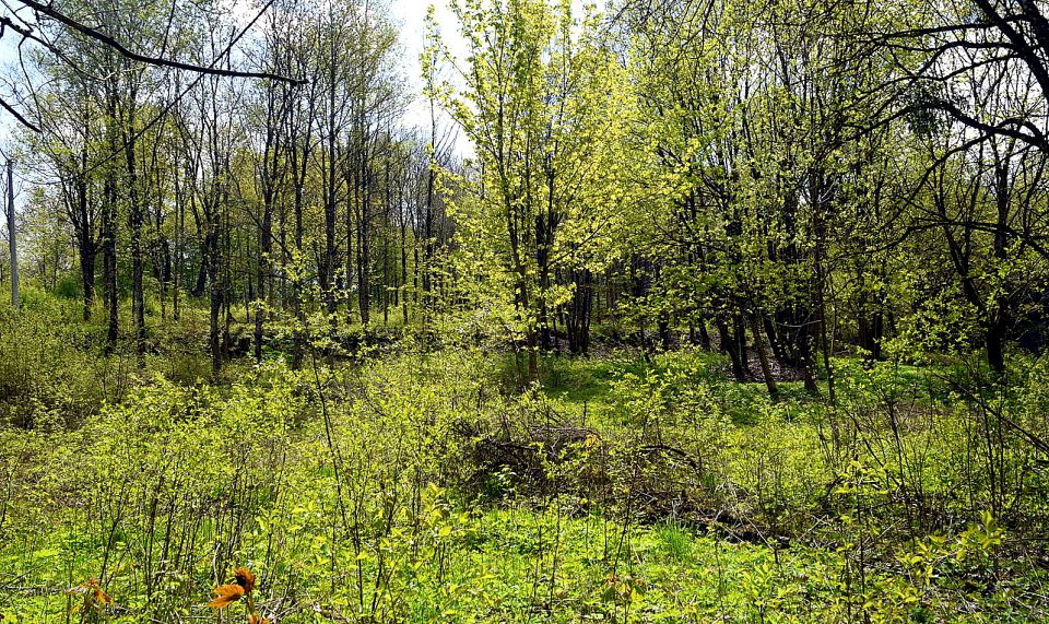 Działka budowlana sprzedam