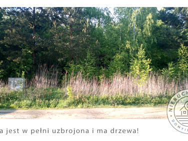 Działka budowlana Załuski sprzedam