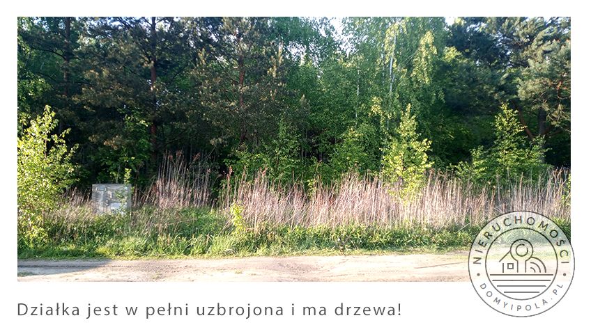 Działka budowlana Załuski sprzedam