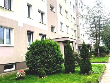 Mieszkanie Radom