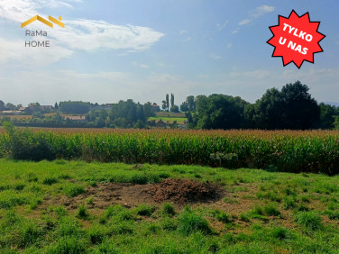 Działka budowlana Zborczyce