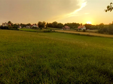 Działka budowlana Borek Stary