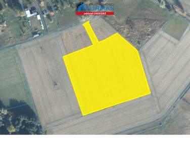 Działka Boruchowo