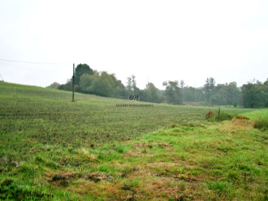 Działka budowlana Cieszyn
