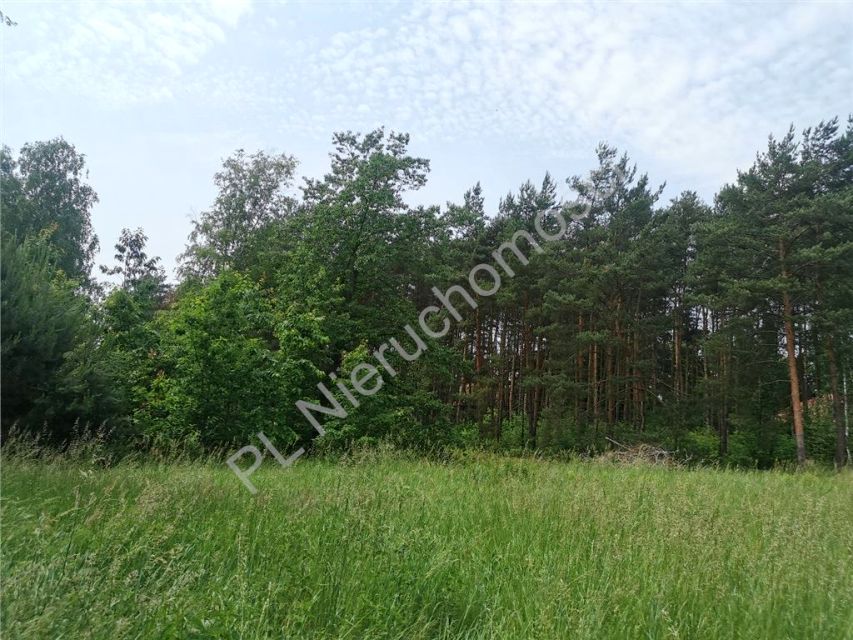 Działka budowlana Radonie