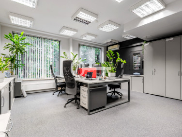 Lokal Wrocław wynajem