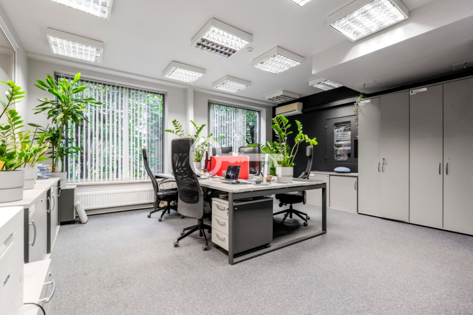 Lokal Wrocław wynajem