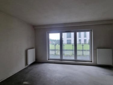 Lokal Poznań