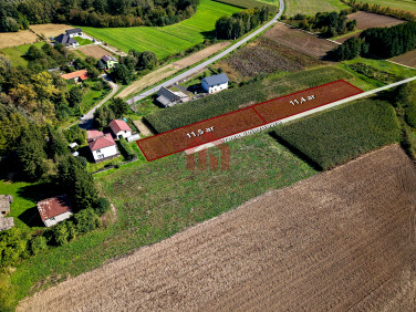 Działka przy lesie