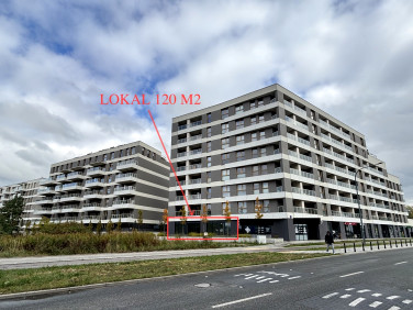 Lokal Warszawa