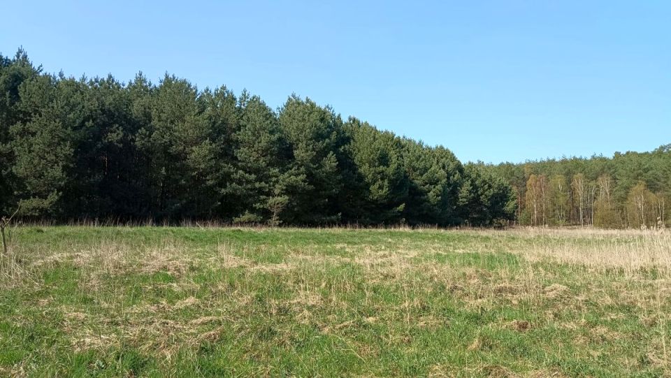 Działka rekreacyjna Silna
