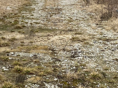Działka budowlana Żerniki Małe sprzedam