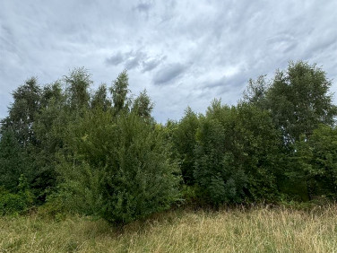 Działka budowlana sprzedam