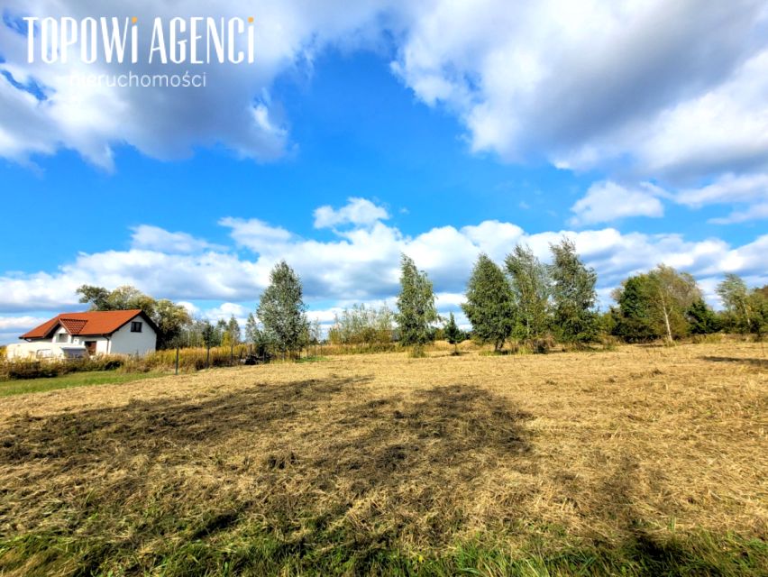 Działka Kępa Oborska