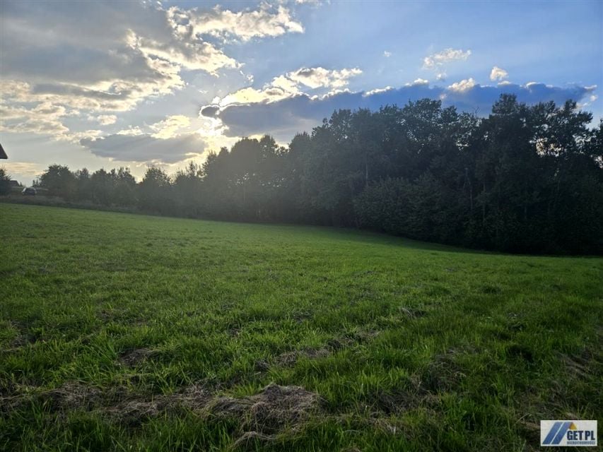 Zdjęcie 3