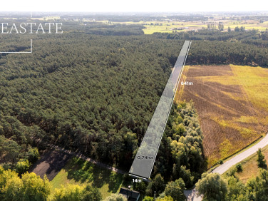 Działka Maurzyce