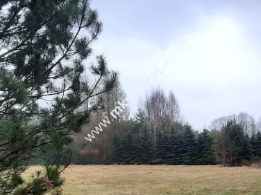 Działka budowlana Żelechów