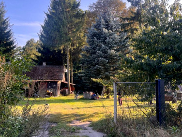 Działka siedliskowa Wygoda Smoszewska