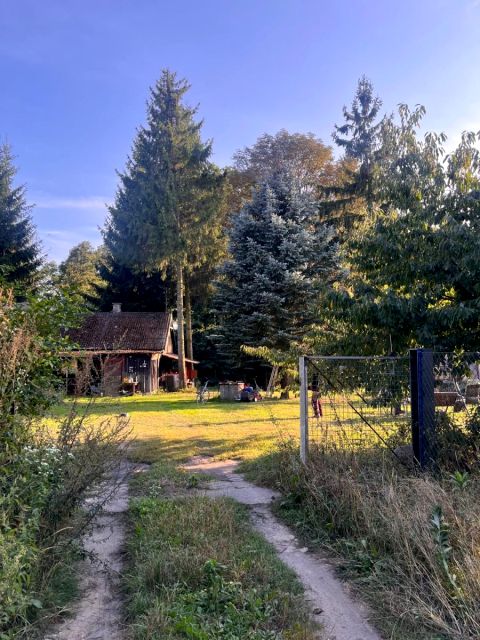 Działka siedliskowa Wygoda Smoszewska