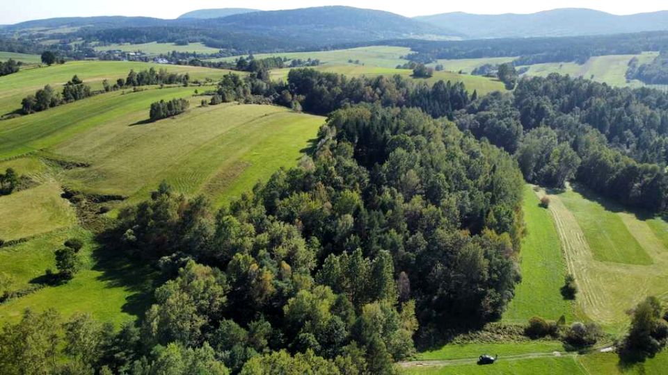Działka leśna Smerekowiec