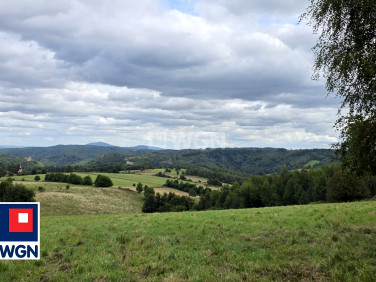 Działka siedliskowa Niedźwiedzica