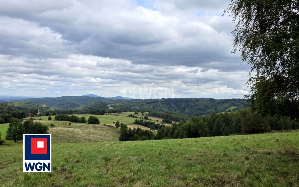 Działka siedliskowa Niedźwiedzica