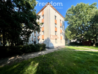 Mieszkanie Sosnowiec sprzedaż