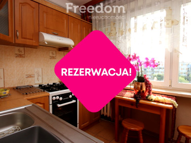 Mieszkanie Koło