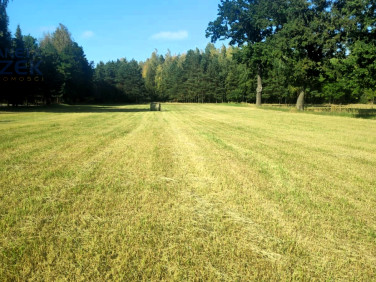 Działka budowlana Lasocin