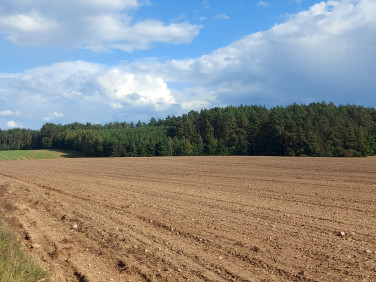 Działka rolno-leśna Lubiejki
