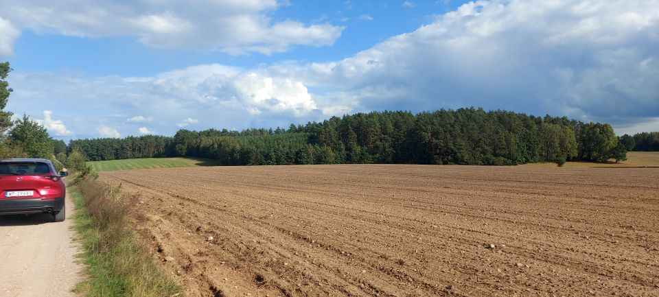Działka rolno-leśna Lubiejki