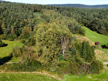 Działka leśna Smerekowiec