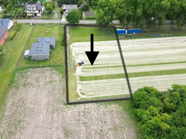 Działka Kompina