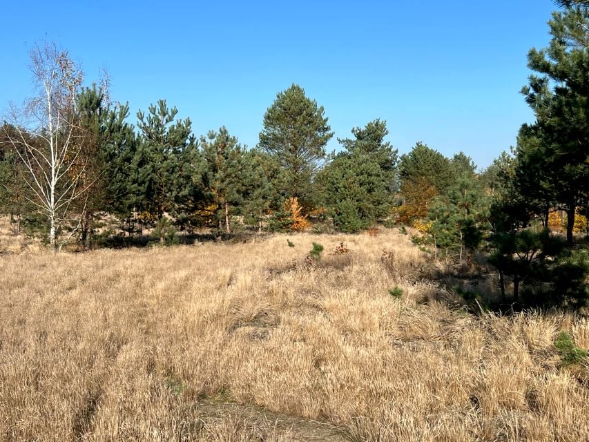 Zdjęcie 2