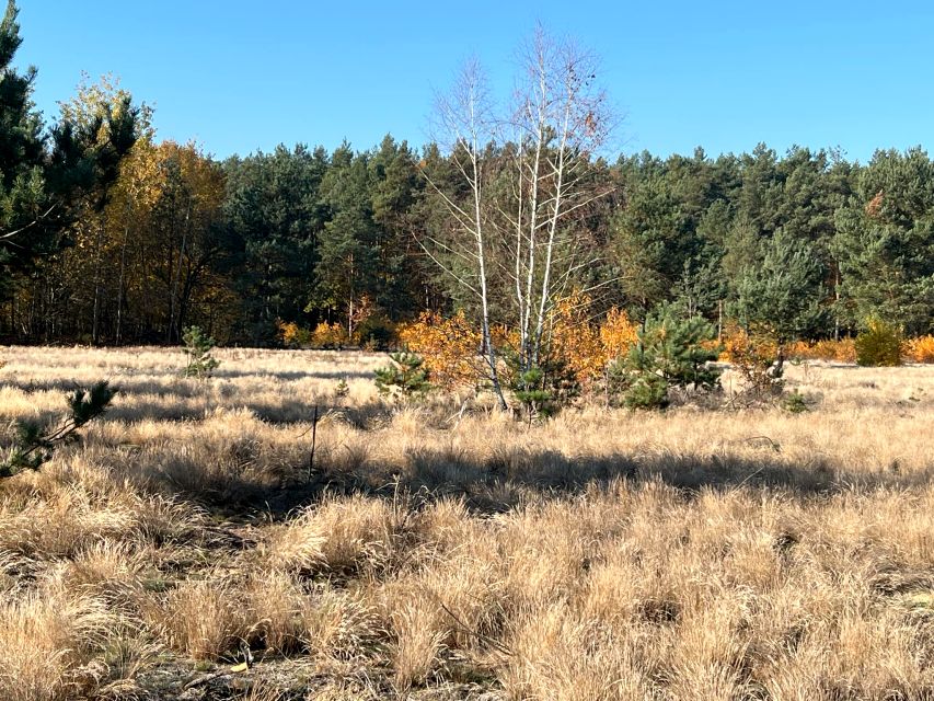 Działka budowlana Gostynin