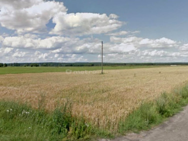 Działka budowlana Borkowice