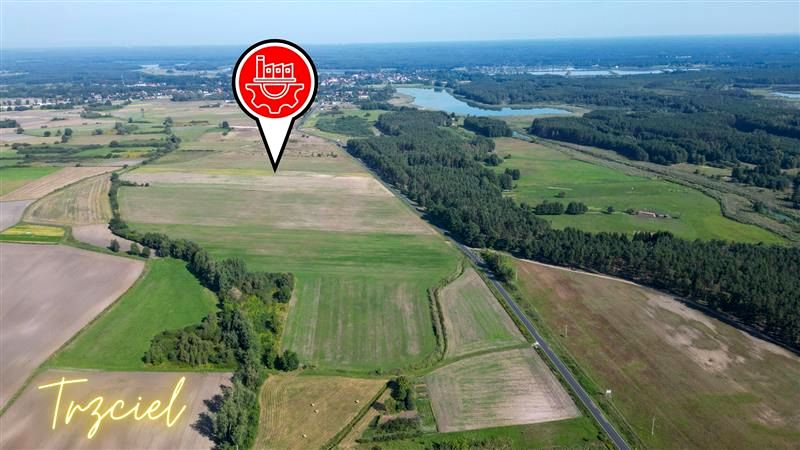 Działka przemysłowa Trzciel