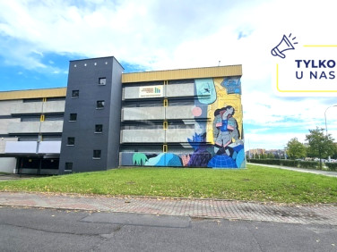 Lokal Opole