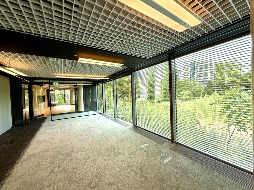 Lokal Warszawa wynajem