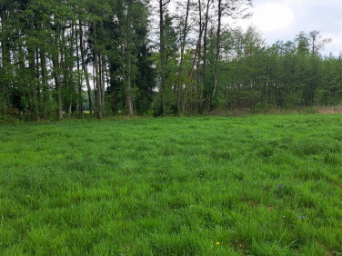 Działka budowlana Klempicz