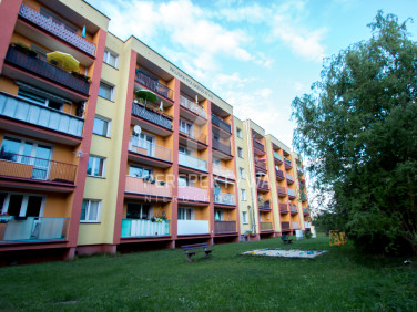 Mieszkanie Zielona Góra