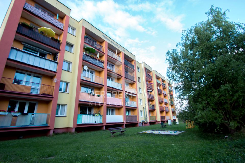 Mieszkanie Zielona Góra