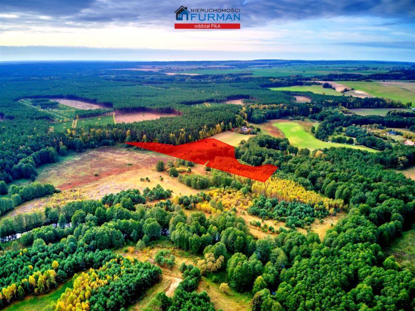 Działka siedliskowa Zabrodzie