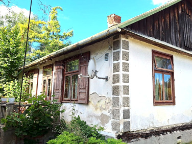 Dom Kurów