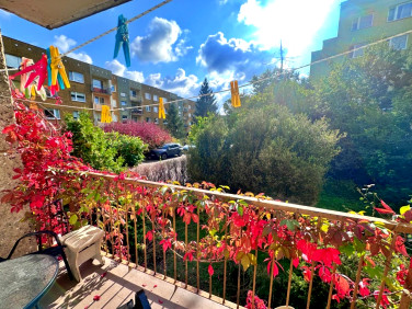 Mieszkanie nad morzem