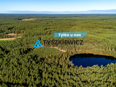 Działka leśna Nierostowo