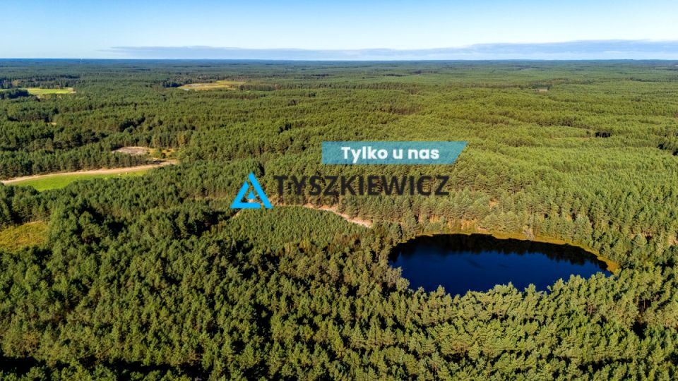 Działka leśna Nierostowo