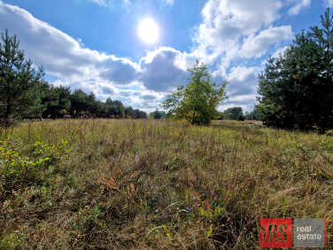 Działka rekreacyjna Sikory sprzedam